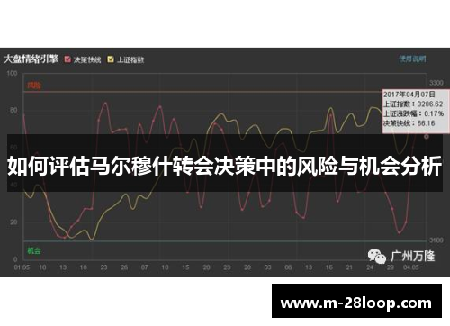 如何评估马尔穆什转会决策中的风险与机会分析